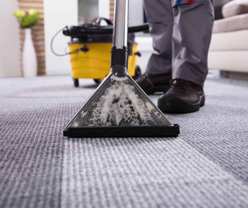 Carpet and Upholstery Cleaning Services Ann Arbor